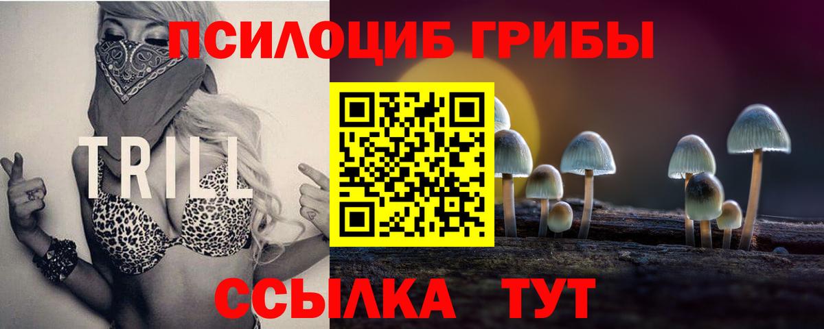 Галлюциногенные грибы мухоморы  Вход с VPN  Среднеуральск  Псилоцибиновые грибы мухоморы 